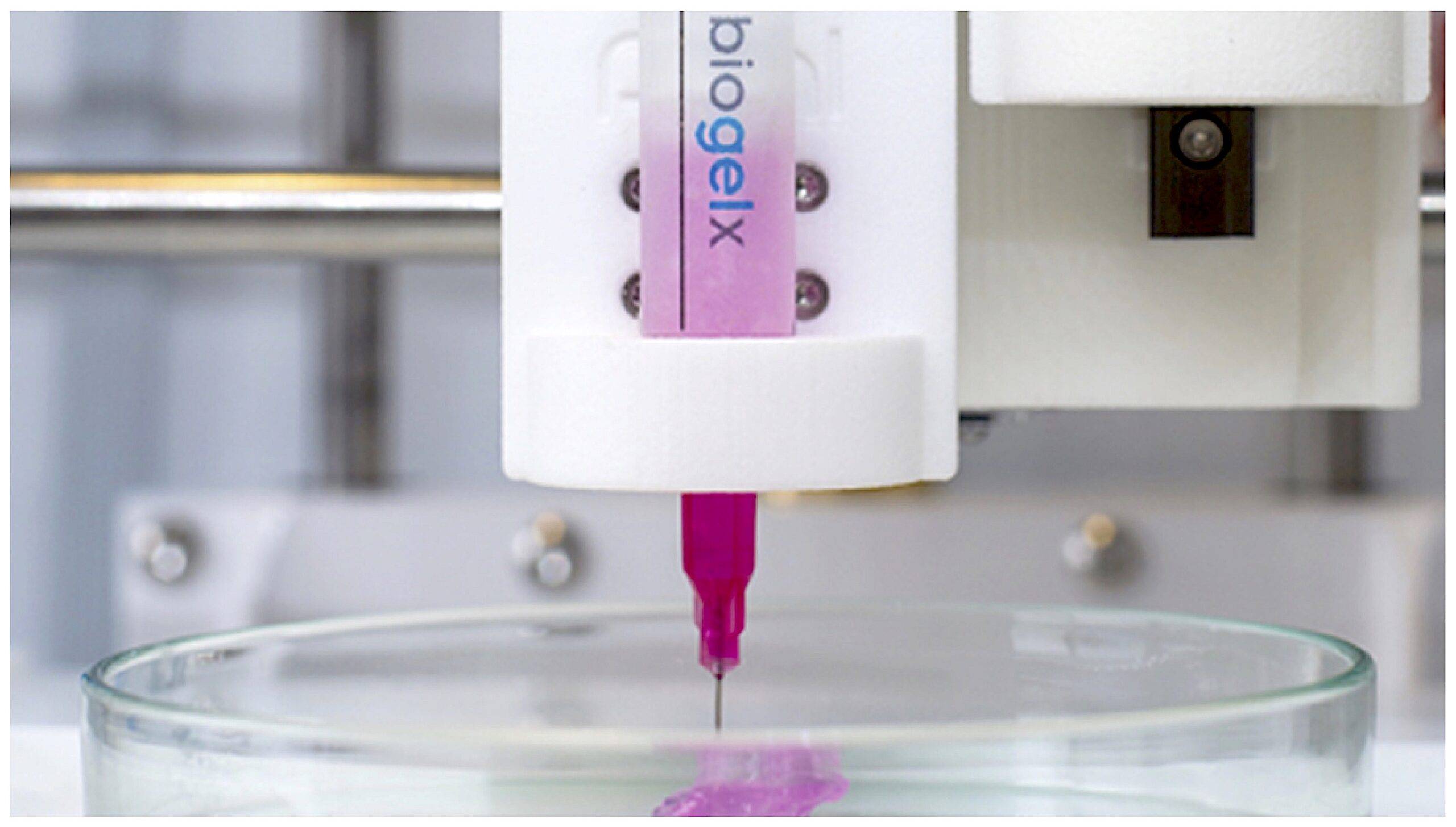 Biogelx Bioprinting scaled