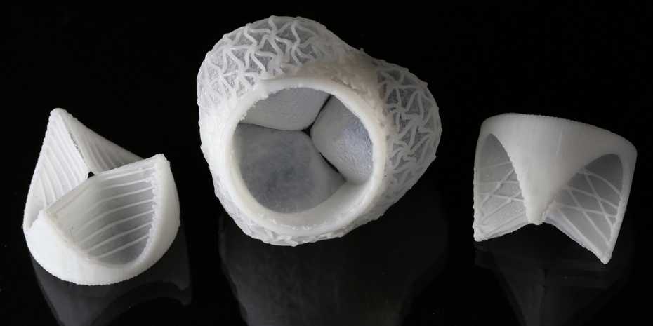 Multi-material 3D printed patient-specific shaped heart valves.