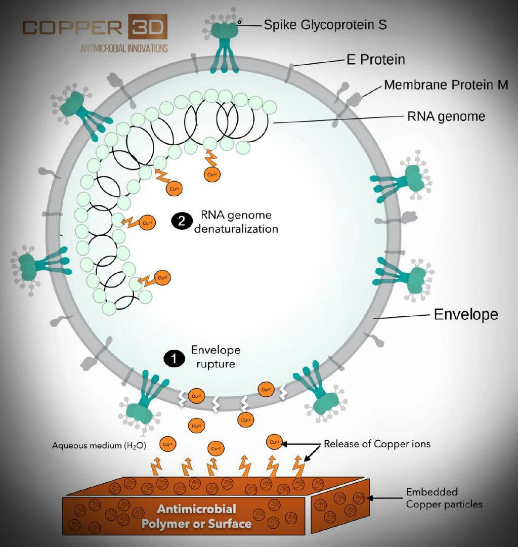 Copper3D - Schematic diagram of the coronavirus. Credit: Binte Altaf. Mechanism of action of Cuprionix® additive