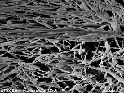 Polymeric nano composite inks
