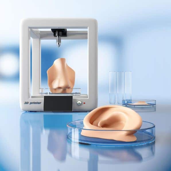 Concept of bioprinting of tissues and organs. Human ear and nose ready for transplantation to the