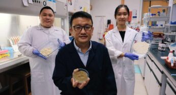 Fighting Obesity With 3D Printed Fermented Soybean Ink