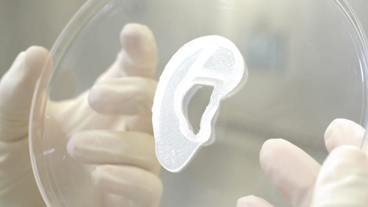 3d printed human ear