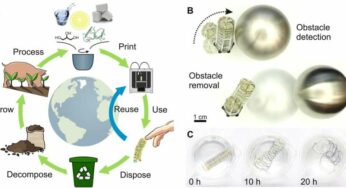 Using gelatin and sugar as ink to print 3D soft robots