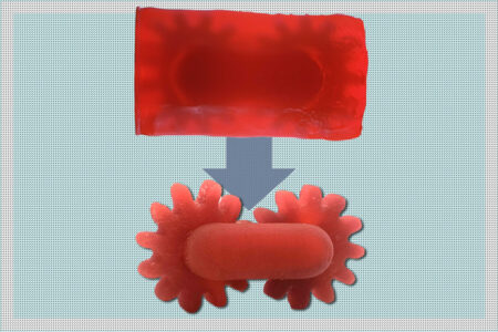 Caption:Researchers have developed a resin that turns into two different kinds of solids, depending on the type of light that shines on it: Ultraviolet light cures the resin into a highly resilient solid, while visible light turns the same resin into a solid that is easily dissolvable in certain solvents. Credits:Credit: Courtesy of the researchers; MIT News