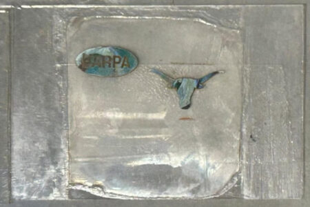 Silver patterning longhorn Size 459.jpg 1200x800 c default